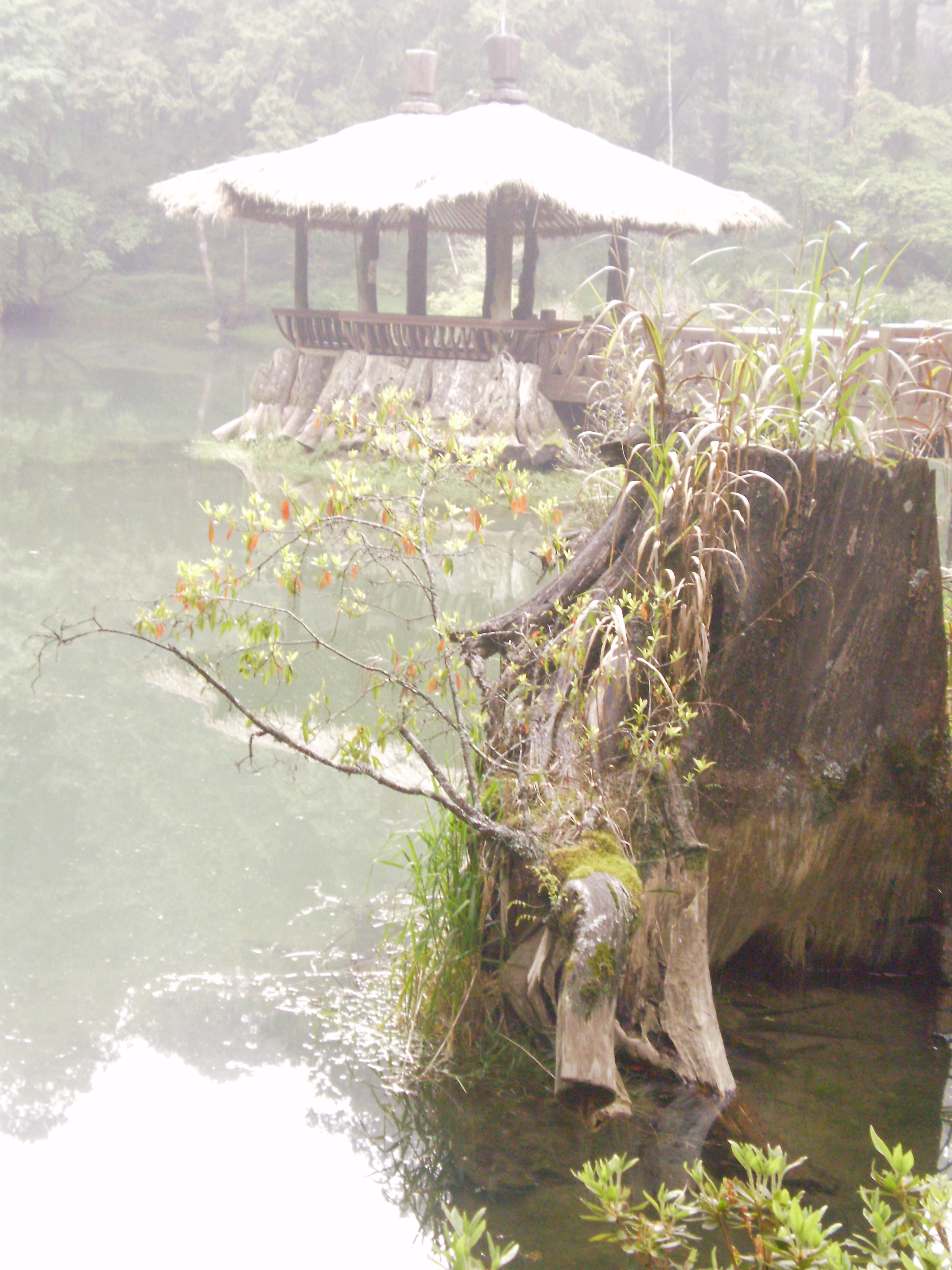 Ideal place for meditation