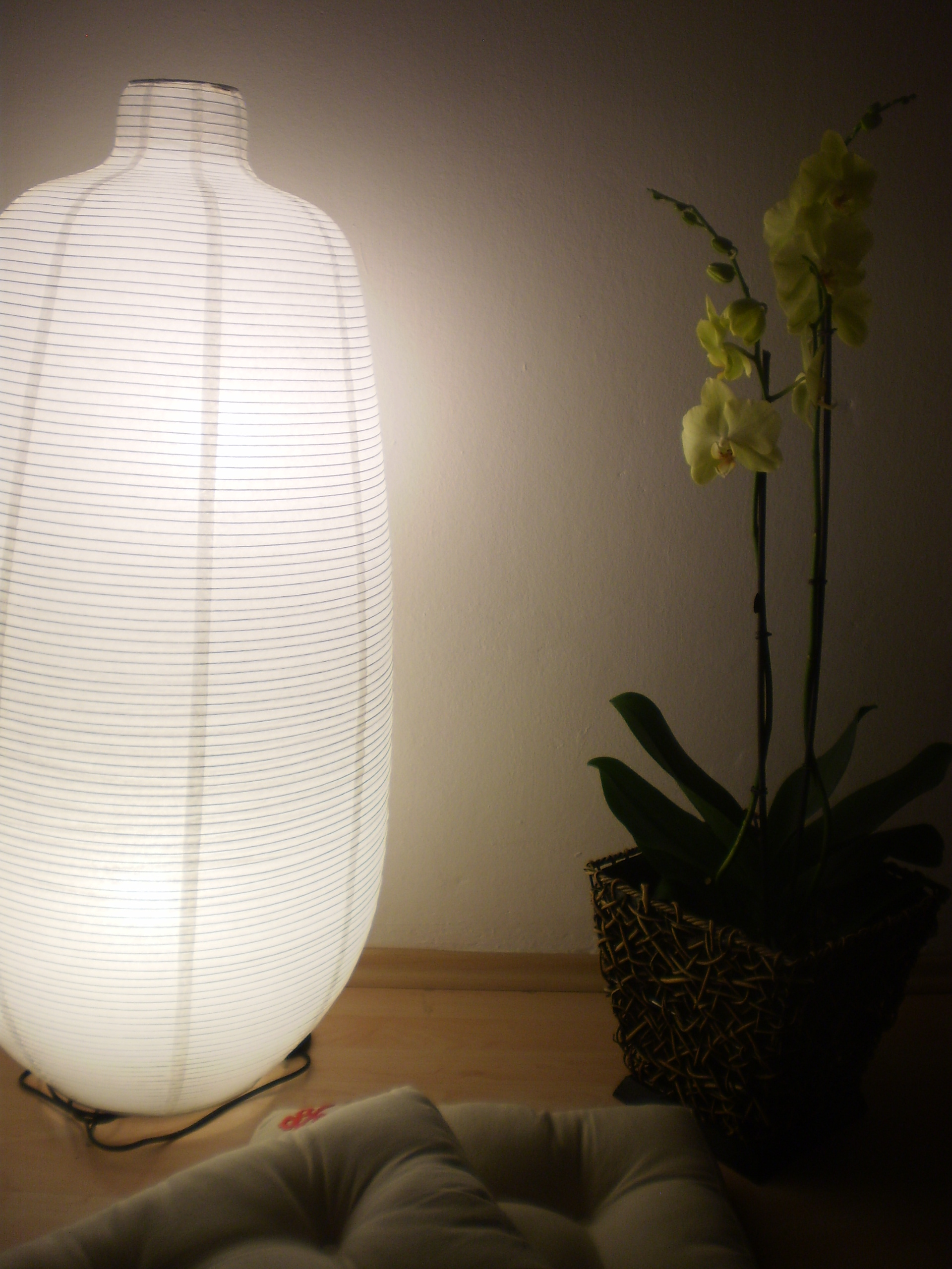  Lessons of Chi Gung in Prague started